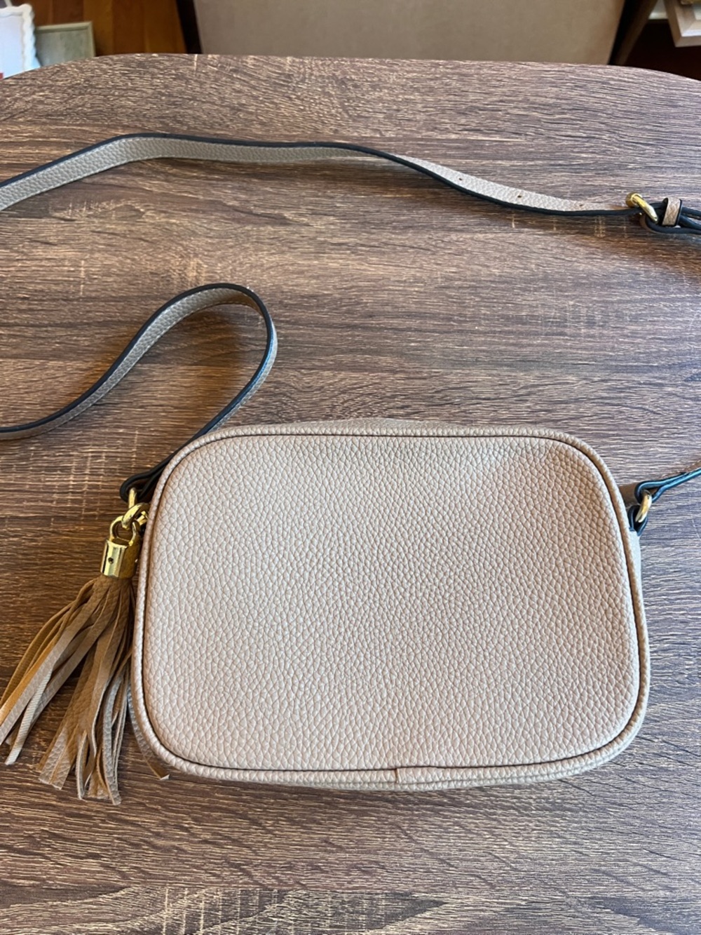 Taupe Pebbled Leather Crossbody Camera Bag